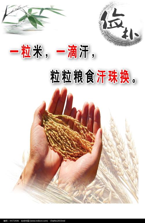 学校补办学位证是什么流程
